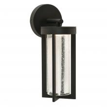 AFX Lighting, Inc. RIRW0512L30ENBK - Rivers 12 Outdoor LED Lantern